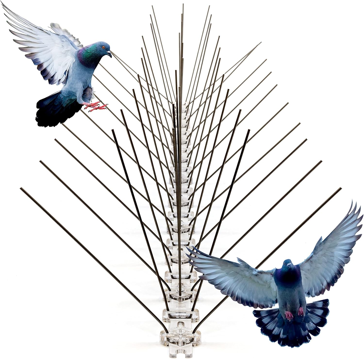 SPIRDS 10 m (20x50 cm) BalkonTaubenabwehr Dichte Stacheln, Vogelabwehr