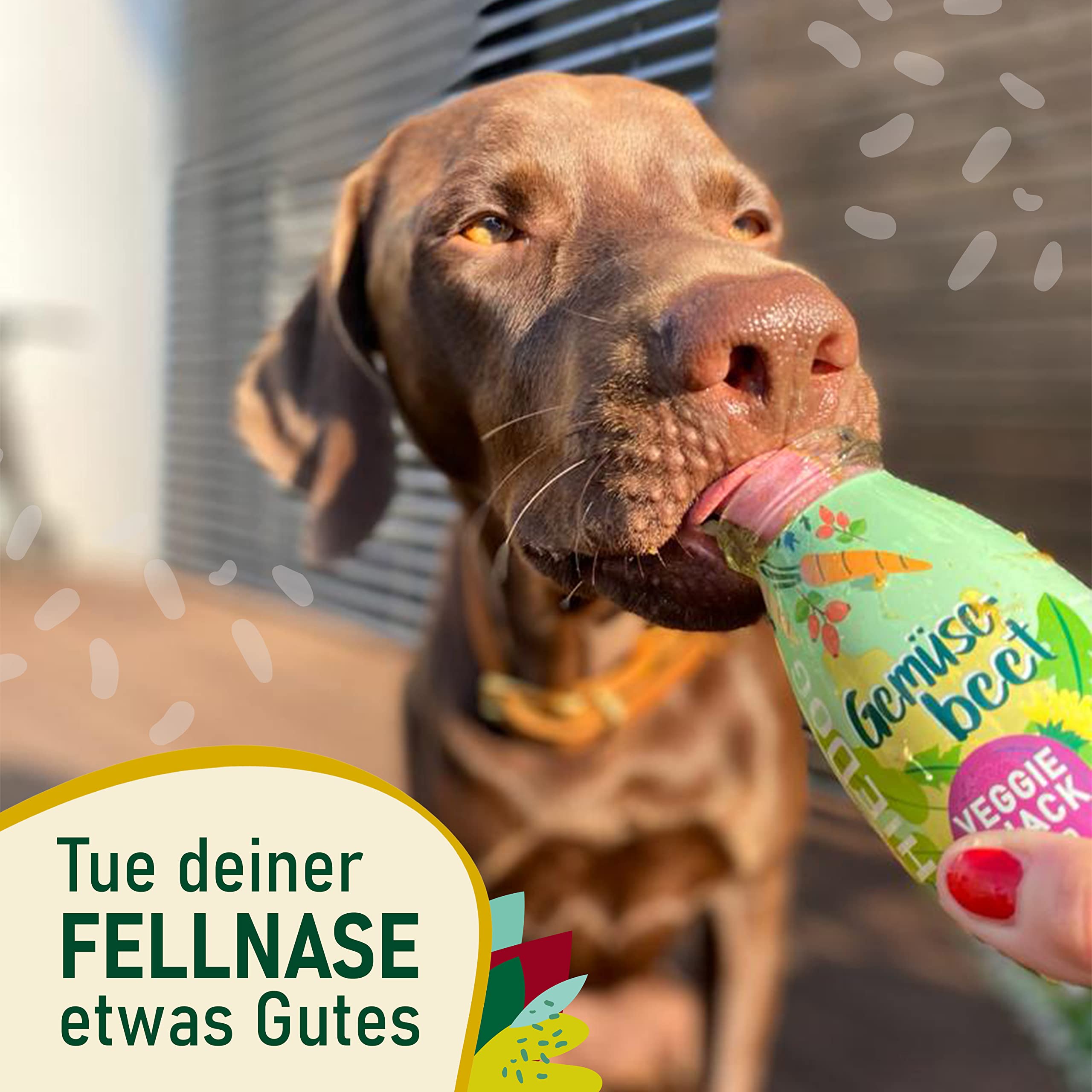 Hunde Smoothie SmoothieDog 12er Gemüsebeet (vegetarisch) - Flüssiges Hundeleckerli - Zucker- & glutenfrei - je 250ml