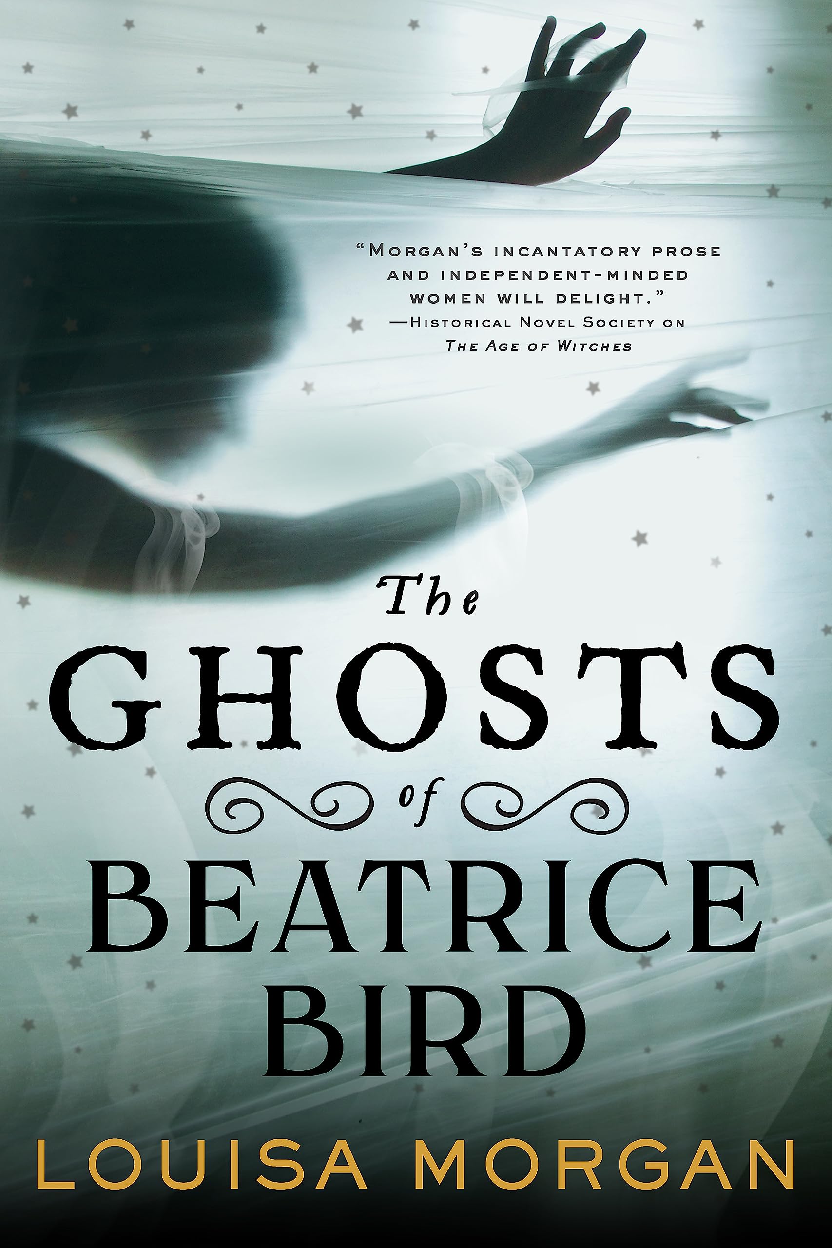 The Ghosts of Beatrice Bird by Louisa Morgan PAPERBACK 9780356516837