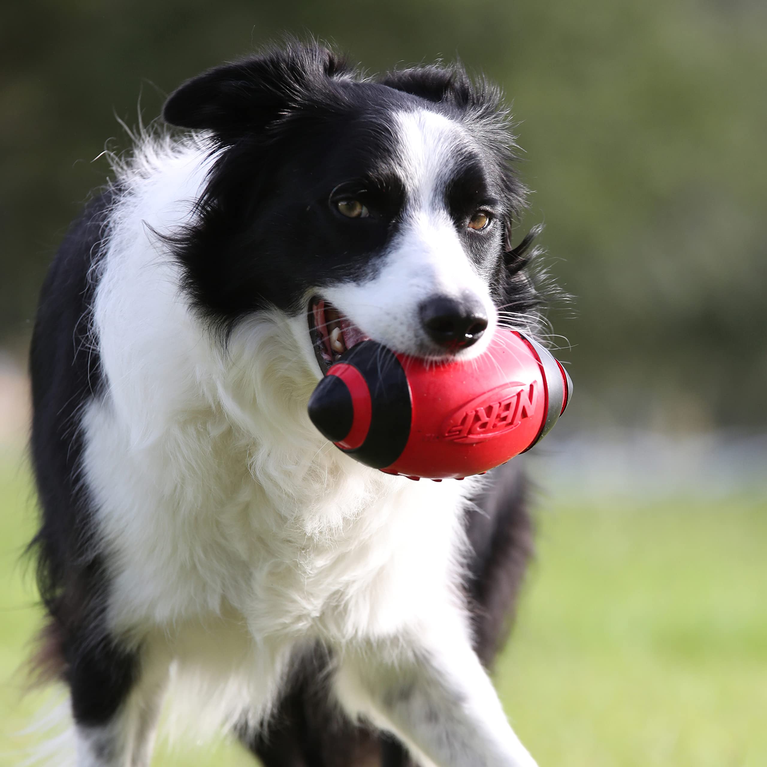 Nerf Dog Classic Squeak Football 5" - Red, Dog Fetch Toy, Red, 5", 5 in - Image 2
