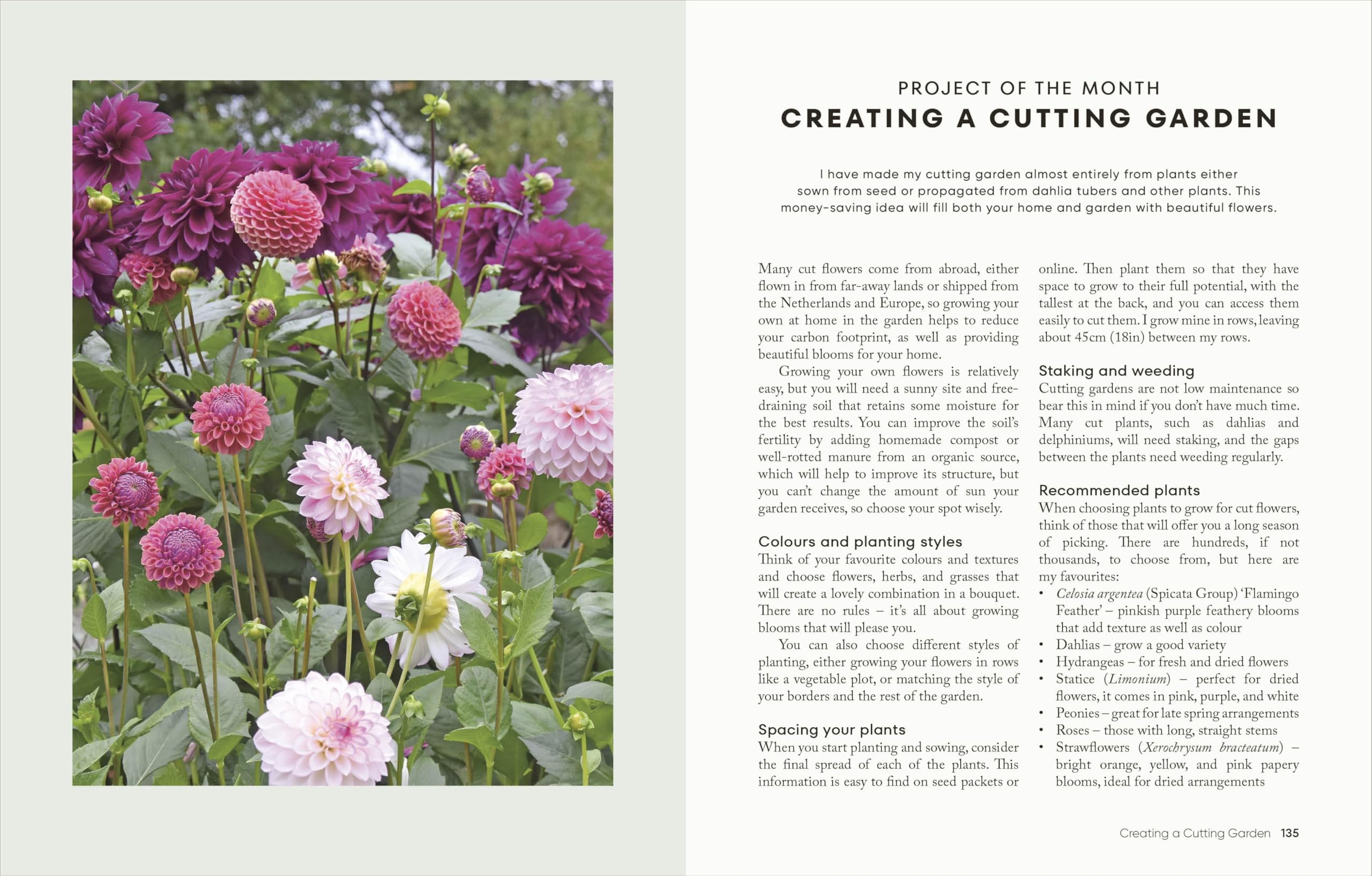 The Money-Saving Garden Year: A Month-by-month Guide to a Great Garden that Costs Less