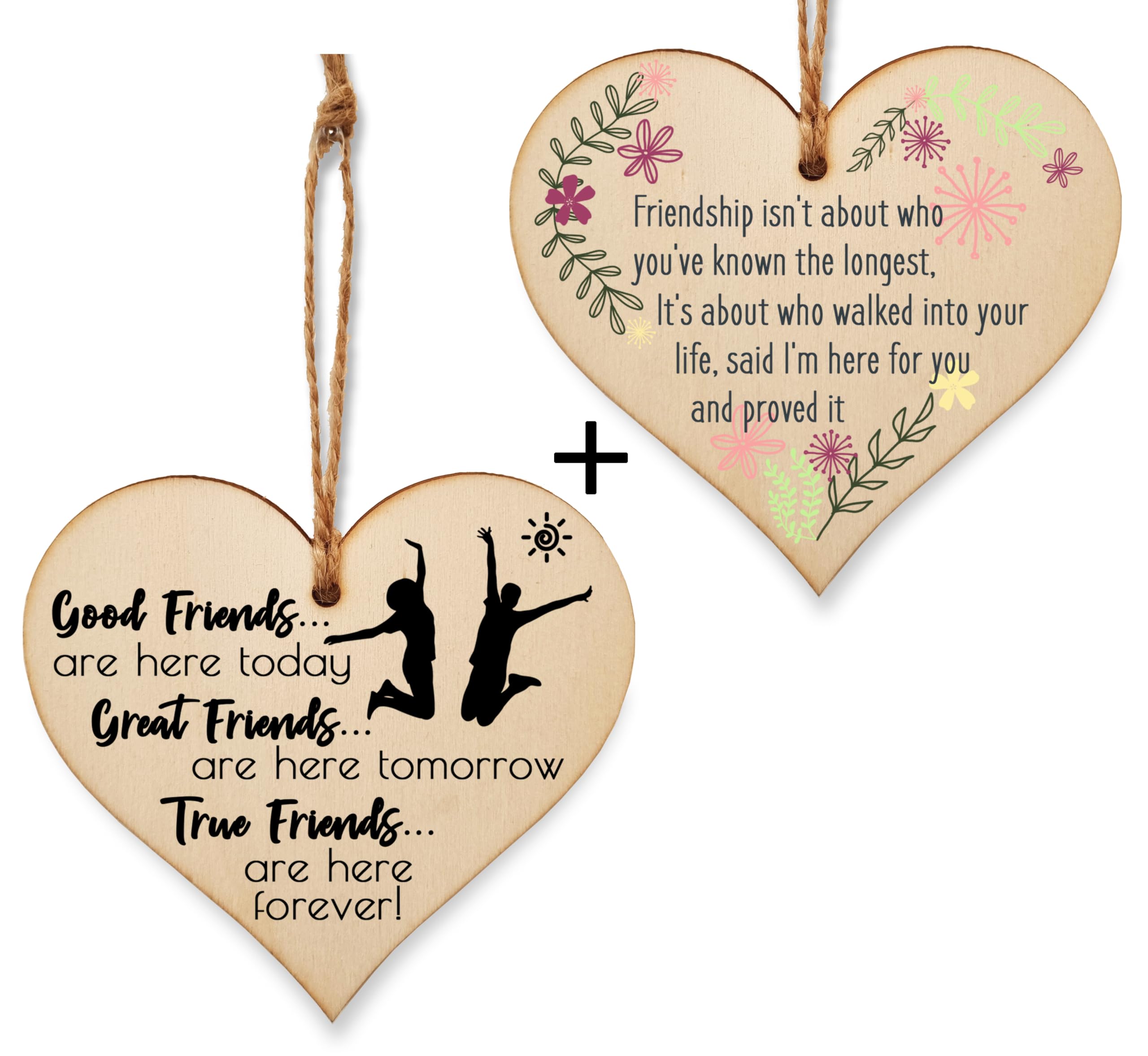 The Plum Penguin Multicolour Pair Of Hearts Friendship Plaques - Distinctive Designs Wall Hangings
