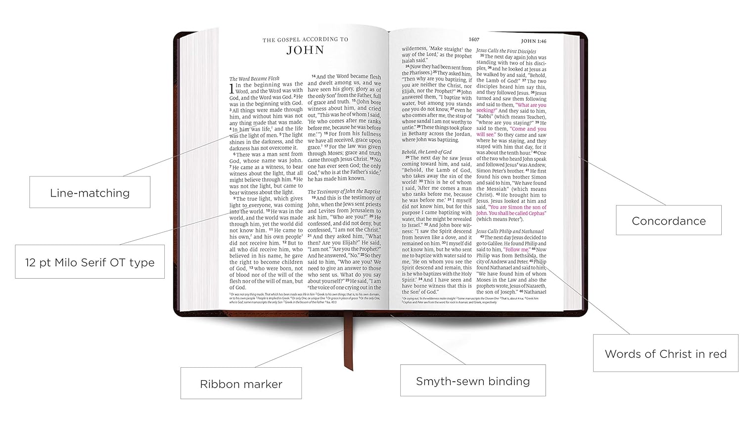 ESV Large Print Personal Size Bible (TruTone, Mahogany) - Image 5