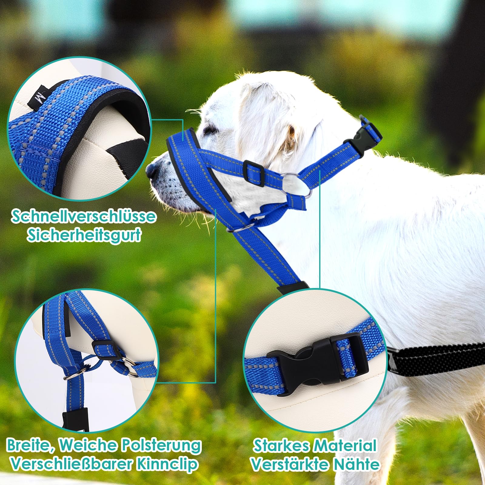 Halti pour chien grand, Harnais pour chien avec tissu rembourré, Harnais de tête Halti réglable anti-traction, Collier anti-traction doux pour chien grand (Bleu, L (Museau : 11,6-14,8 pouces))