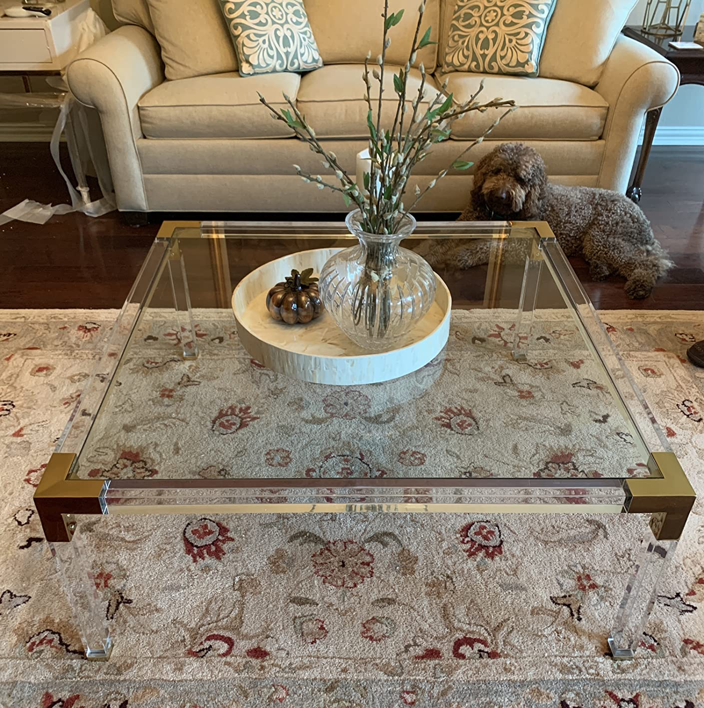 43/mo Finance Hanna Modern Glam Cast Acrylic Rectangular Coffee