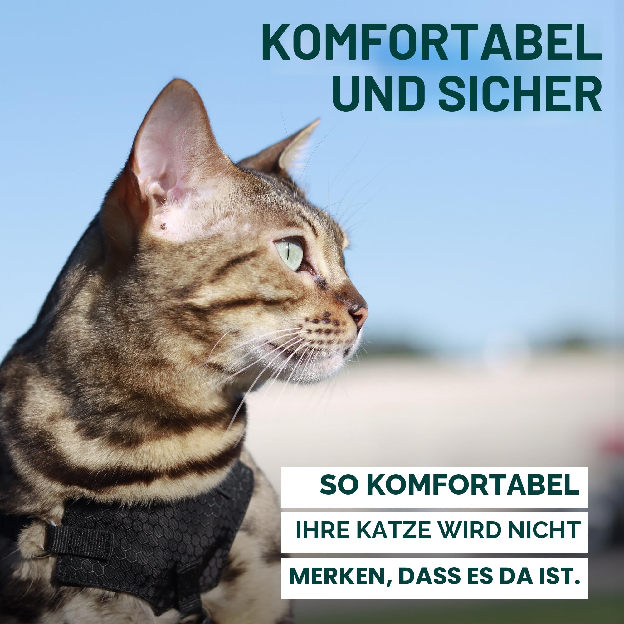 Houdini™ Ausbruchsicheres Katzengeschirr und Leine, Set von OutdoorBengal for Walking Cats (M)