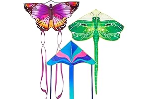 Aquatic Dragonfly, Monarch Butterfly, Luna Moth Kite for Adults Kids Beach Park