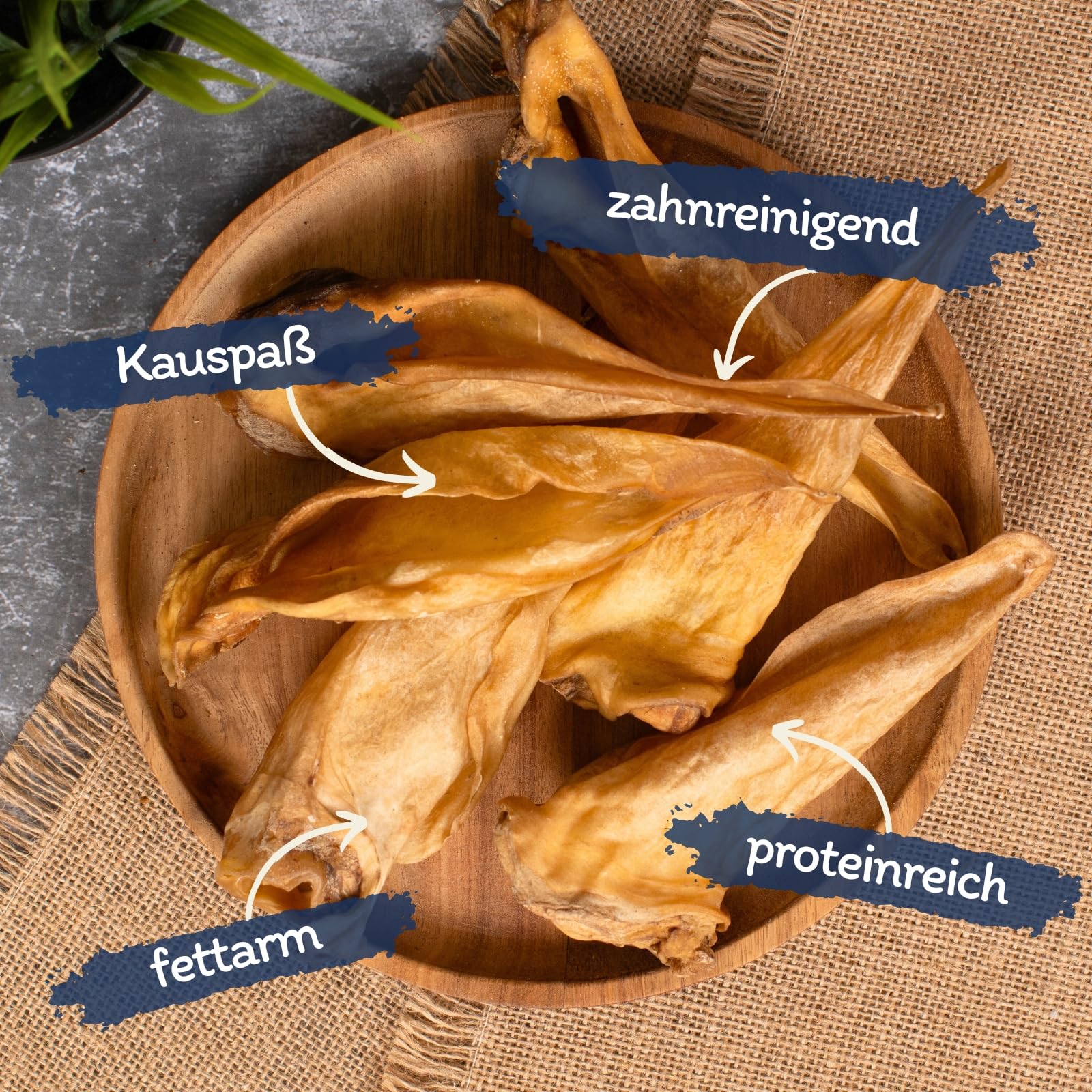 Lyra Pet® 100 Rinderohren getrocknet ca. 3 kg Kausnack für Hunde Leckerli | Naturbelassenes Leckerli - Ideal für die Zahnpflege - Gut verdaulicher Kauartikel - Proteinhaltiges fettarmes Hundefutter