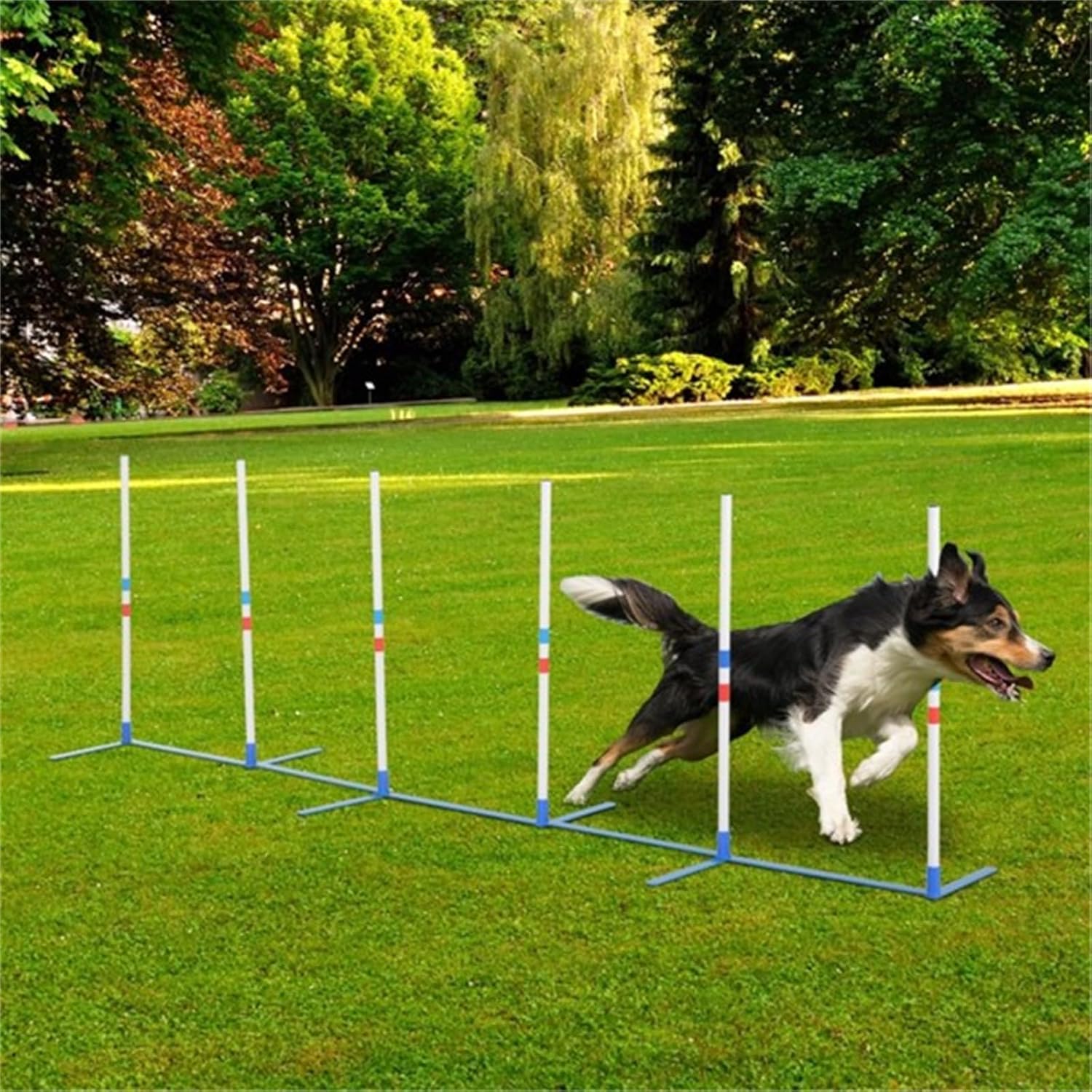 Pet Agility Training Stand, Dog Training Stand, pet Training, pet Supplies, 6 Poles, with Carrying Bag, Suitable for Flat Ground use, Easy to Assemble, White
