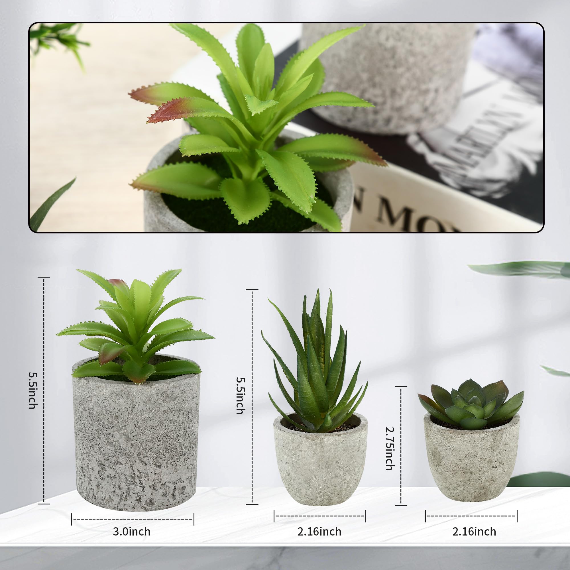 ZHYLUO 5 Pezzi Piante Artificiali, Mini Piante finte Serpentine, Agave Succulente, Aloe Artiglio d'Aquila per Camera da Letto Ufficio Decorazione