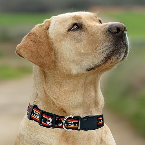 Miniatura 58 de NFL - Collar para perro de Philadelphia Eagles, collar mediano del equipo de fútbol para perros y gatos. Un collar brillante y colorido para gatos