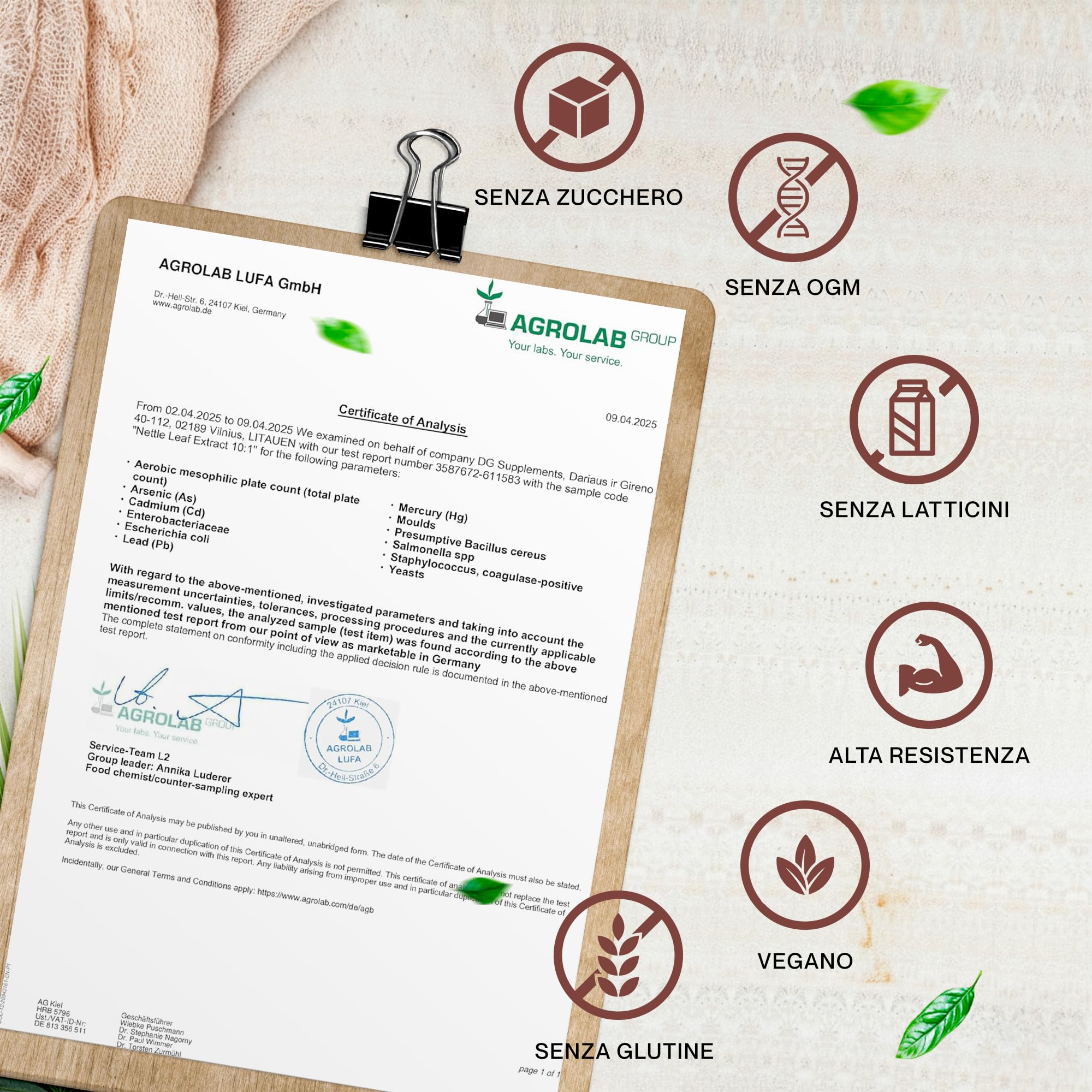 Hepatica Foglia di Ortica 5.000 mg Equivalente | Estratto Concentrato 10:1 da 500 mg | 120 Capsule Vegane | Scorta 4 Mesi | GMP & laboratorio indipendente