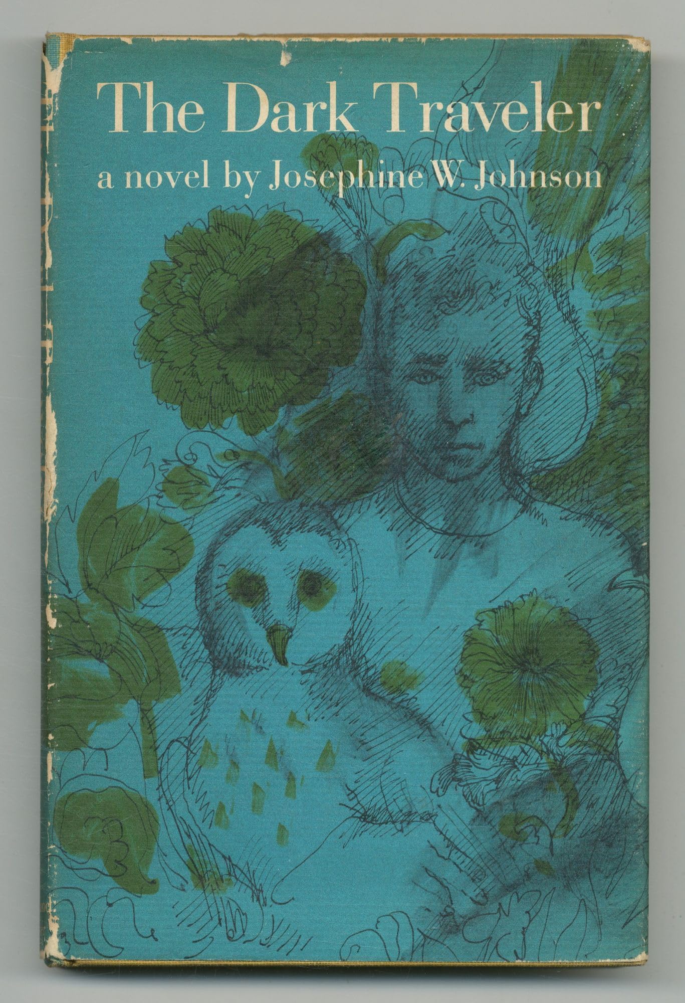 Cover of The Dark Traveler