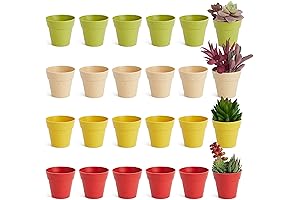 Juvale: Micro-Sized Planters for Petite Greenery