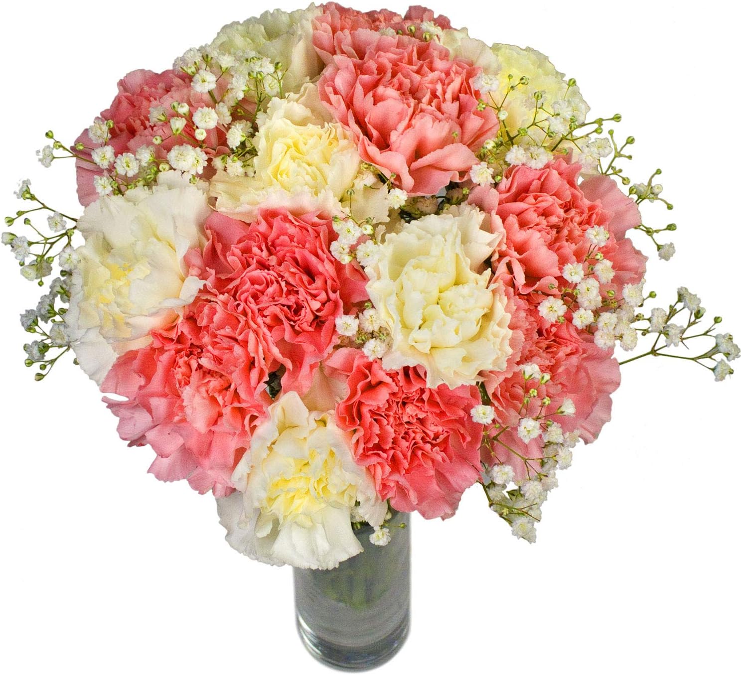 Fresh Carnation Carnival Flowers with Free Delivery and Name-a-Rose Gift - A Long Lasting Hand Tied Bouquet of 15 Pink and White Carnations Fused with Gypsophilia All Wrapped by a Real Florist