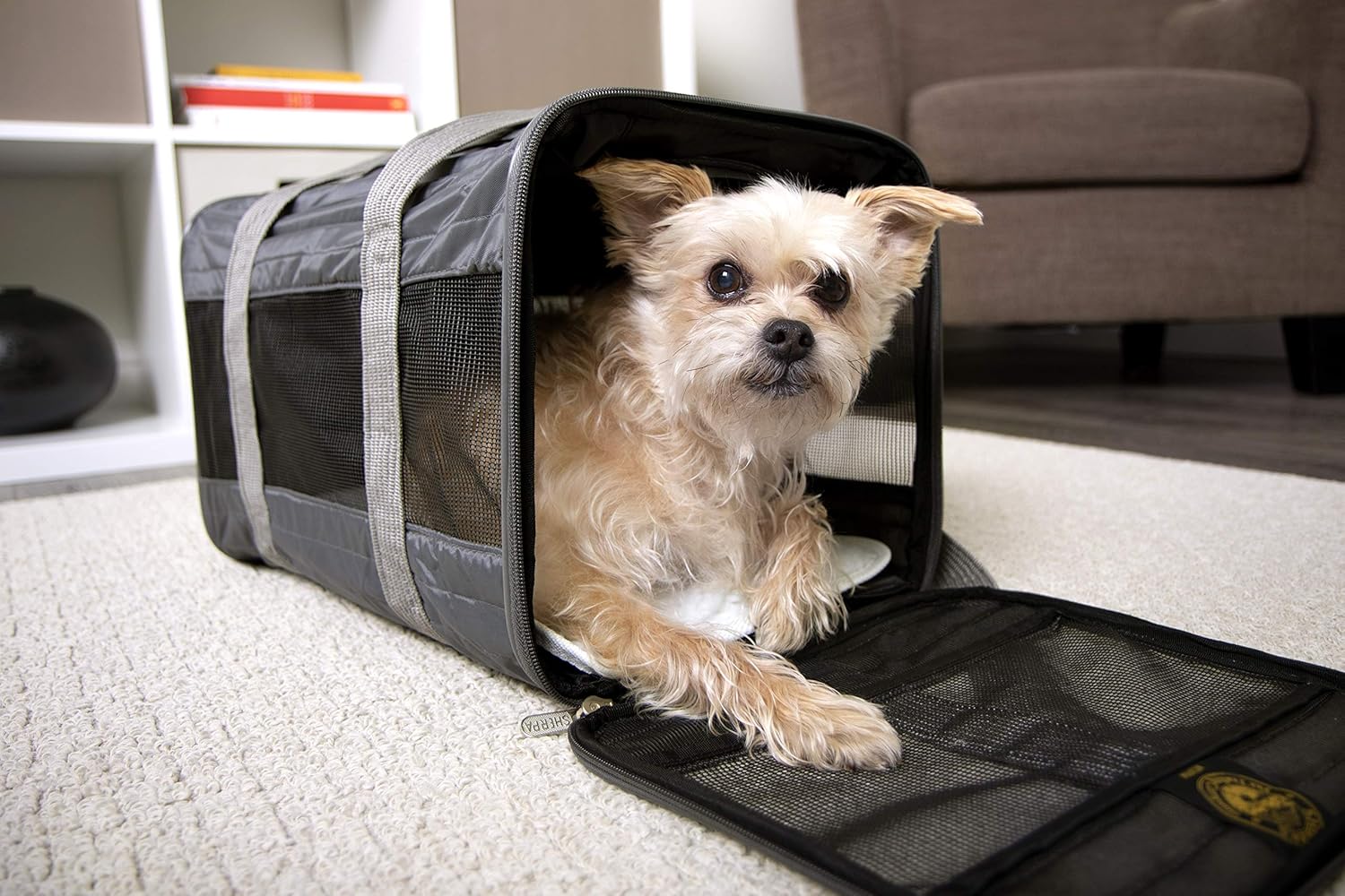 sherpa pet carrier small