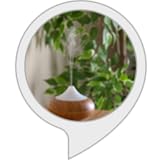  Ruido del humidificador