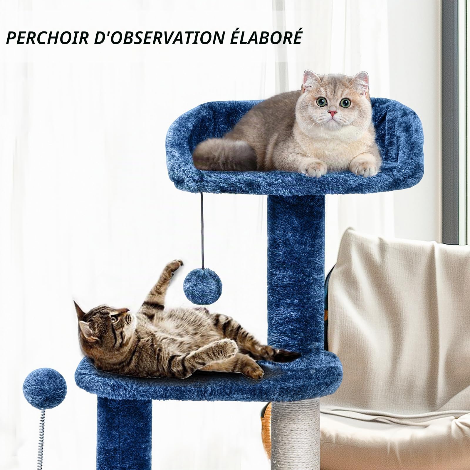 ClevaHome Arbre à Chat Bleu Denim pour Petits Chats – Arbre à Griffer Multi-Niveaux 85 cm avec Perchoirs Douillets, Jouet Pompon et Poteaux Sisal pour Chatons d’Intérieur