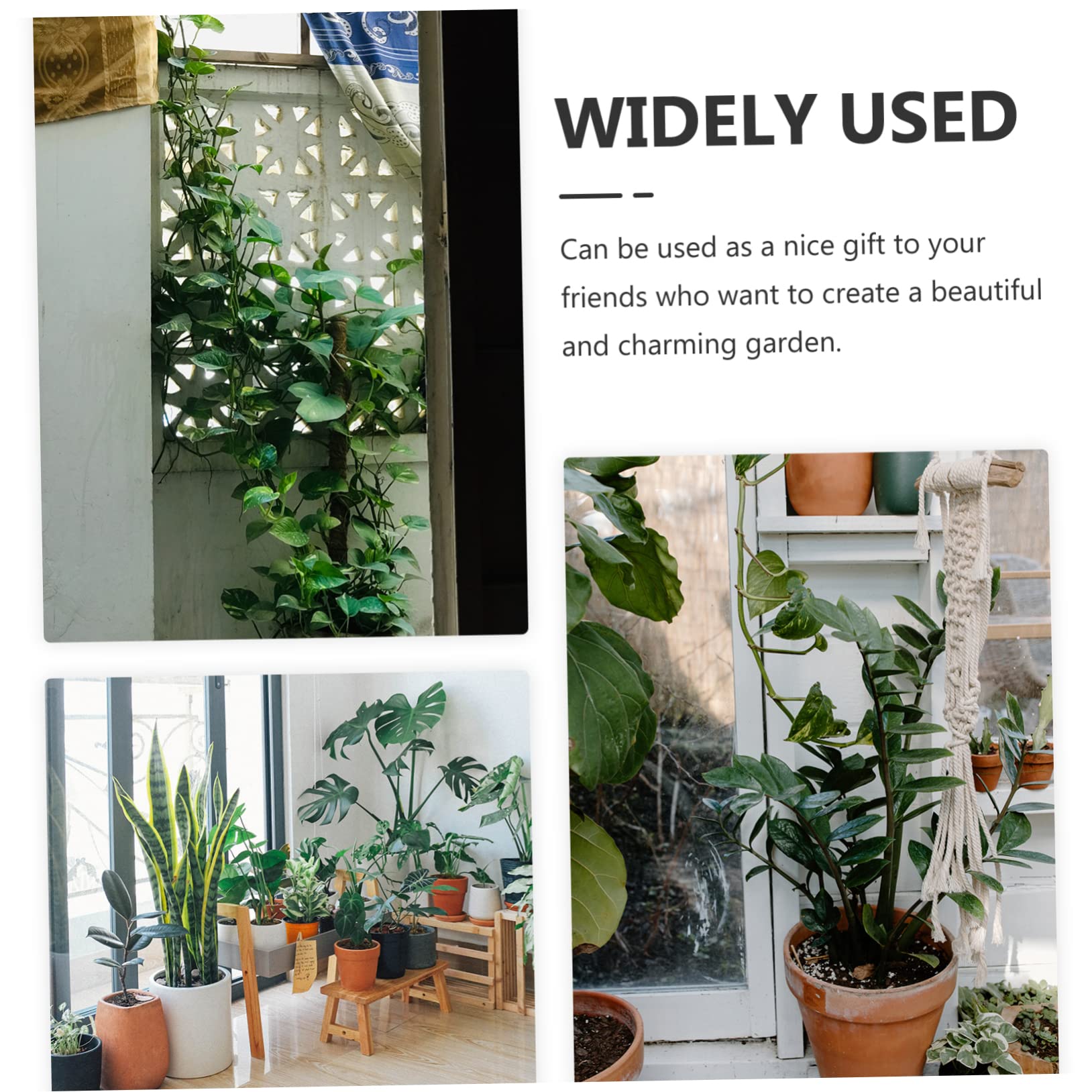 Support pour Plantes Grimpantes Spirale 2 Pièces en Acier Inoxydable Vert