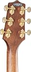 Takamine Guitar Acoustic Takamine GN90CE-ZC