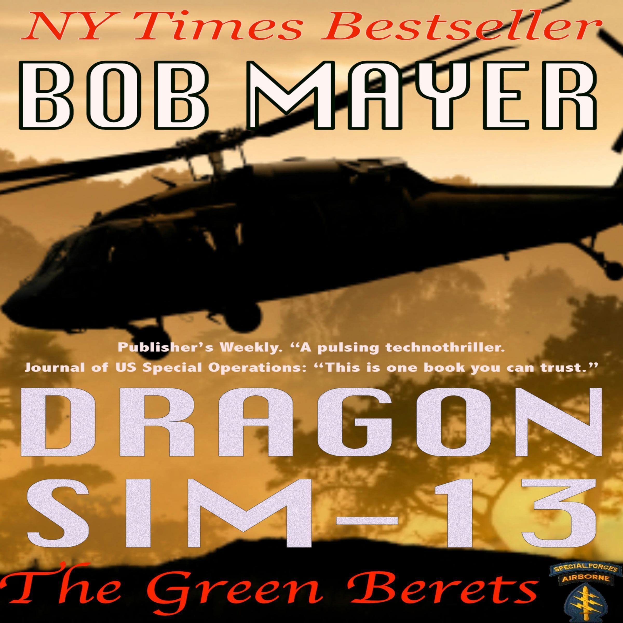Cover art for Dragon Sim-13