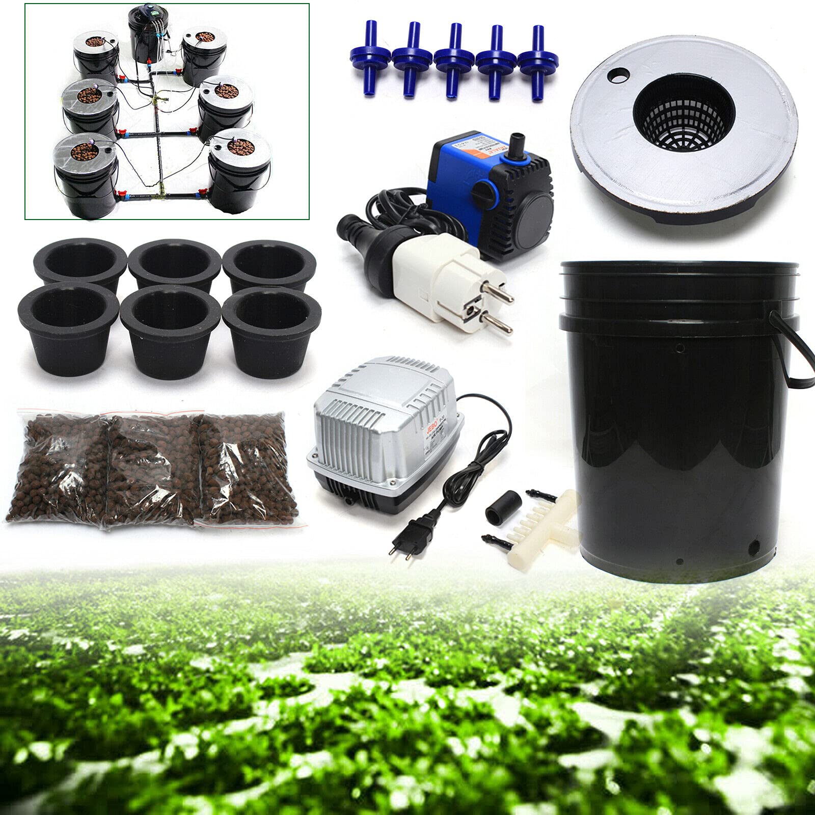 Hydrocultuur Planten voor elke ruimte