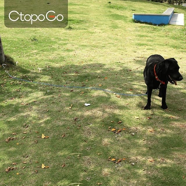 Foto 4 de 5 de Correa De Perro, 5M, Azul