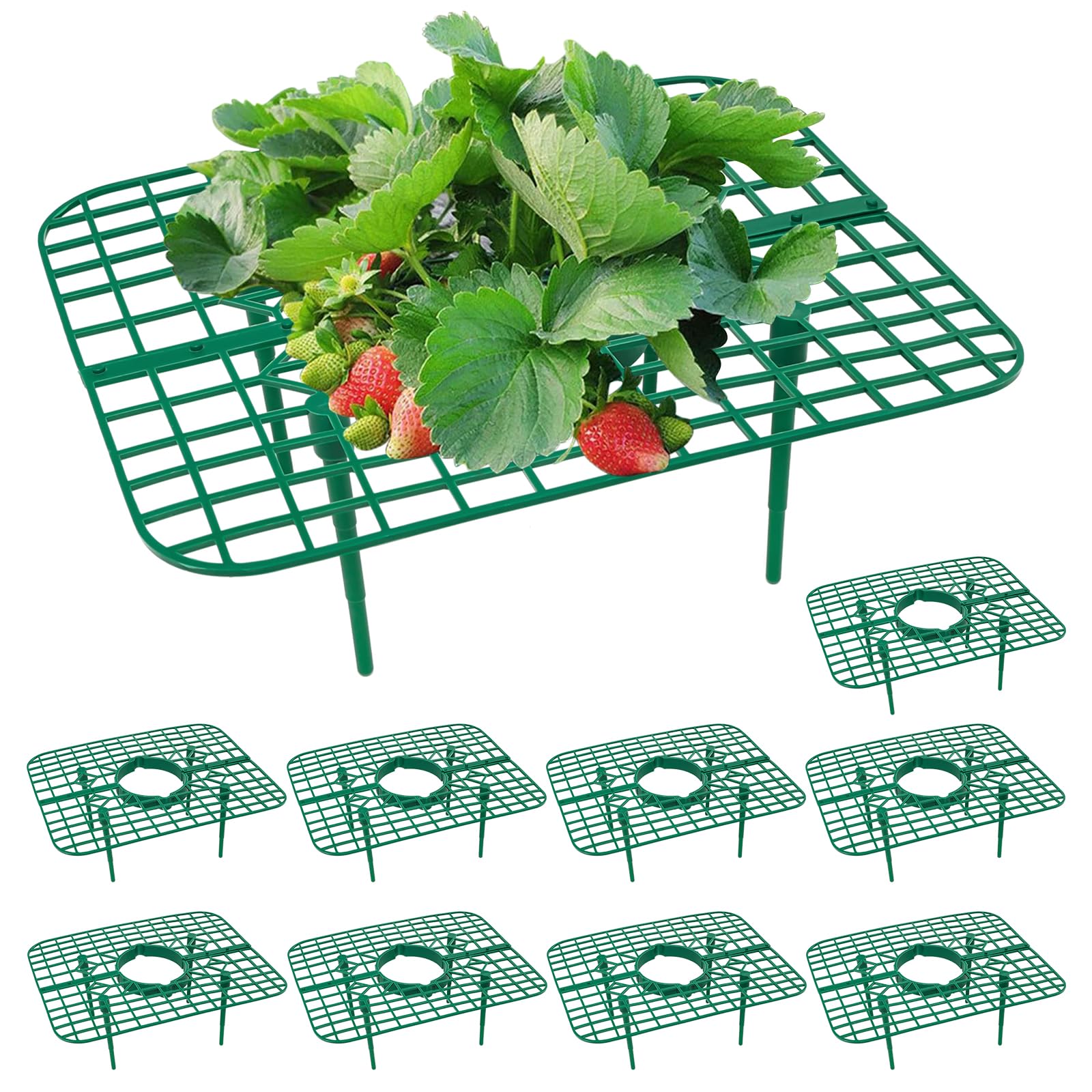 10 Pack Strawberry Plant Support, Strawberry Planting Stand, Keeping Strawberry Plants Clean, Strawberry Growing Racks, Strawberry Growing Frame