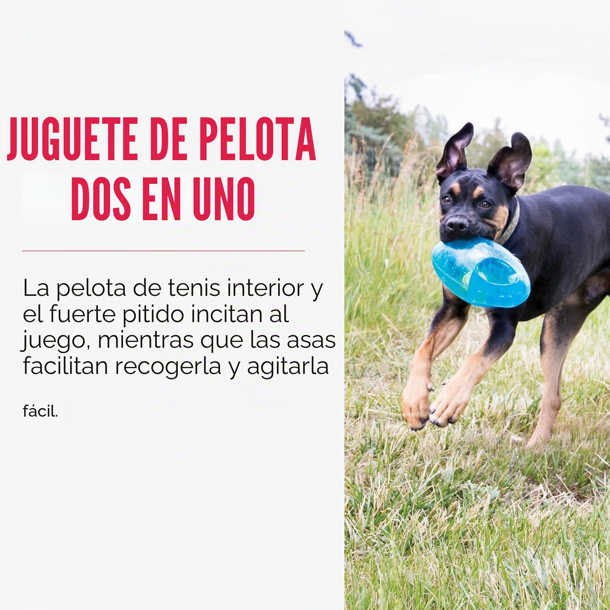 KONG - Jumbler Football - Juguete con pelota de tenis (varios colores) - Para Perros Medianos/Grandes