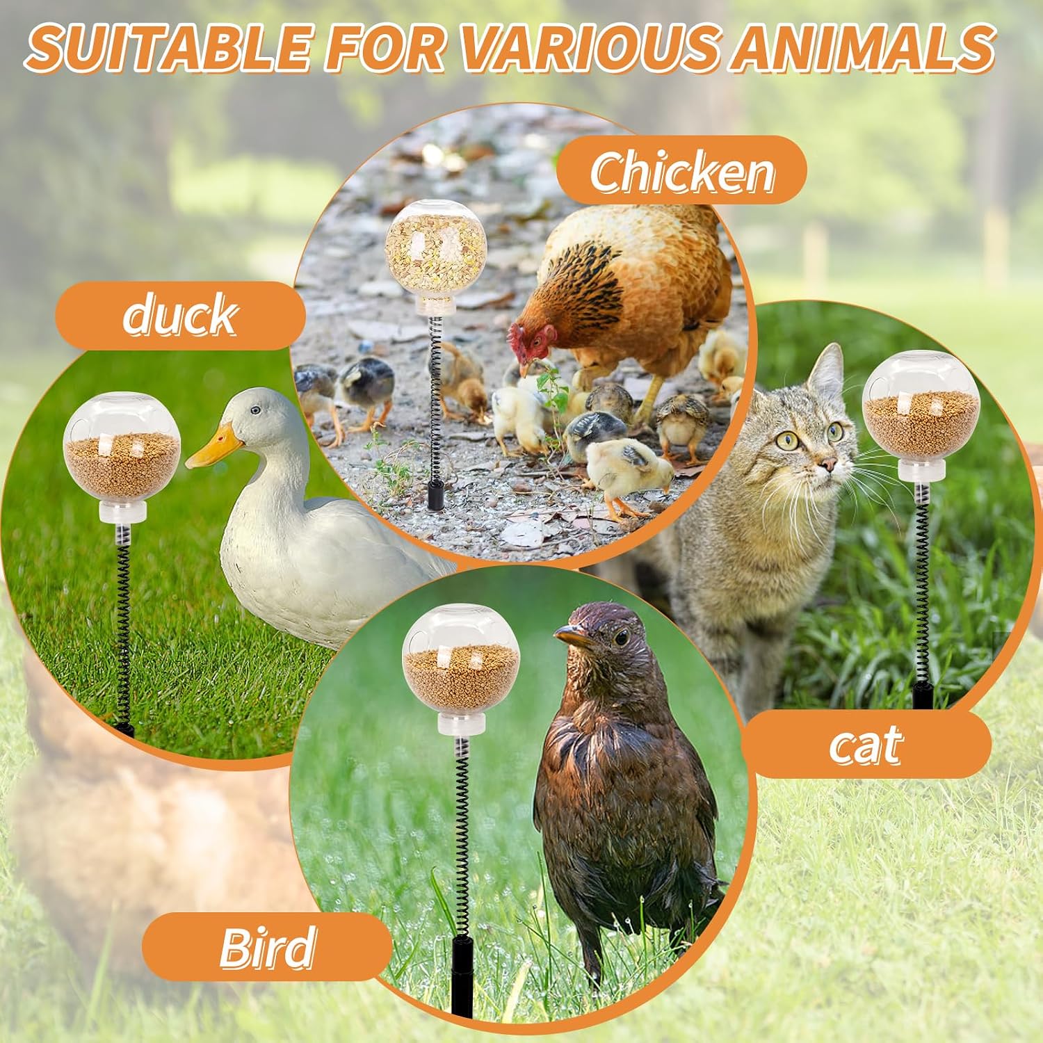 2 Pack Chicken Peck Toy, Interactive Slow Feed Release Toy for Foraging | Chicken Swing Feeder Coop Accessories Reduce Boredom and Feather Pecking Enrichment Toys for Hens, Ducks, Quail, Turkeys