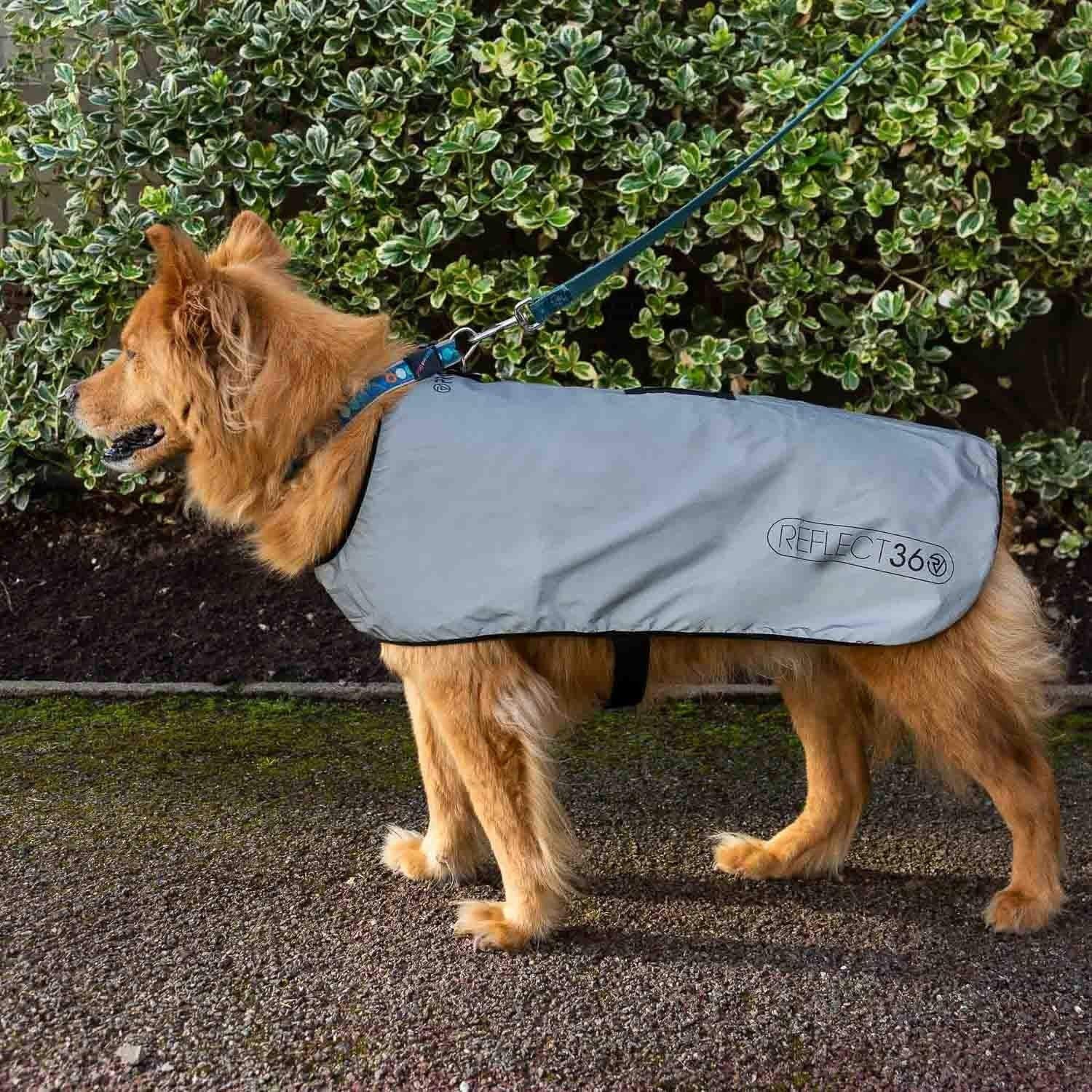 Proviz Reflect360 Fleece Lined Dog Coat, Silver, Small - Image 3