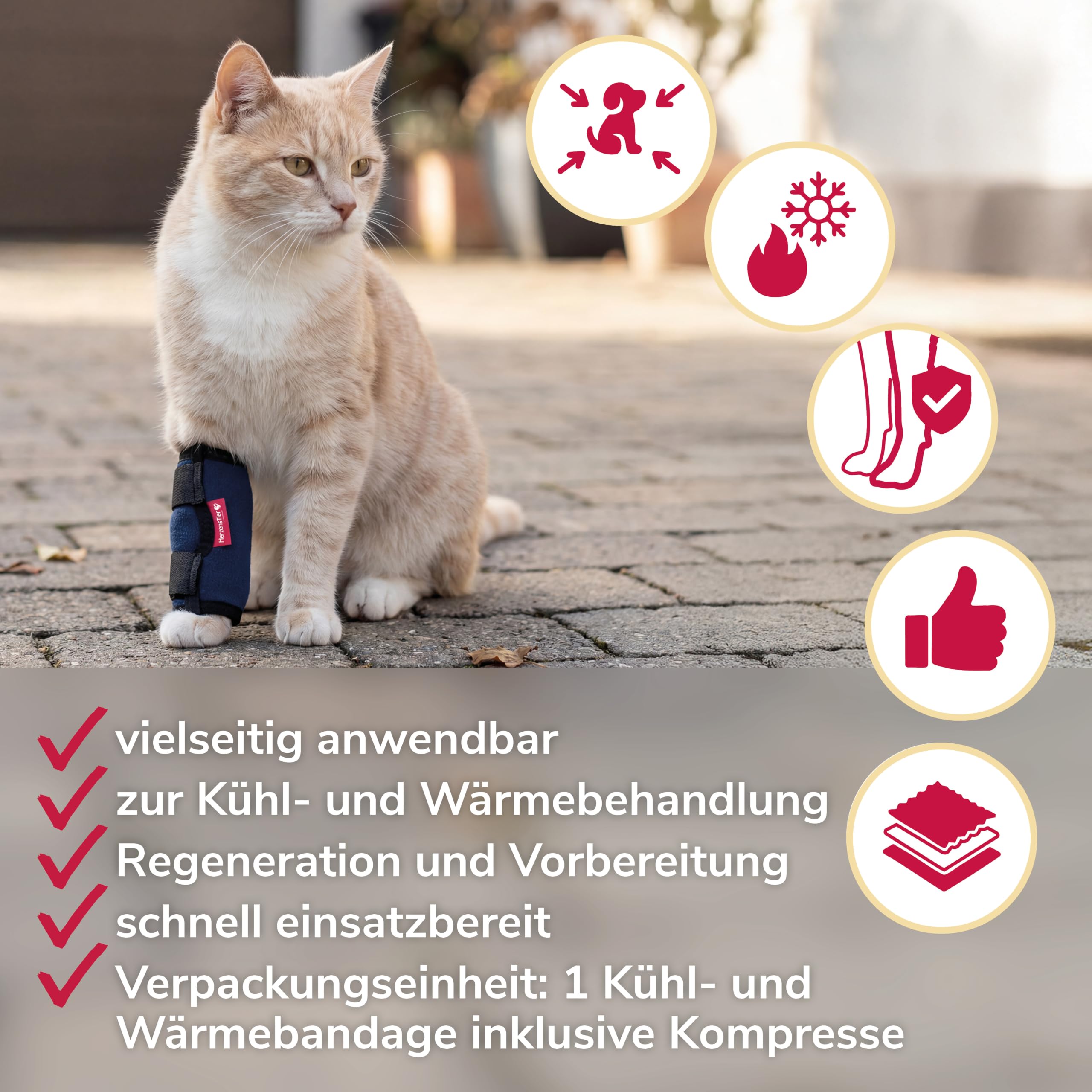 Kühl- und Wärmebandage Gr. S für Hunde & Katzen, 2in1 Therapie bei Verletzungen & Arthrose