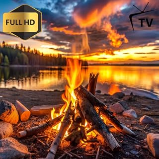 Nature Flame – Campfire Ambience with Forest Sounds in 4K
