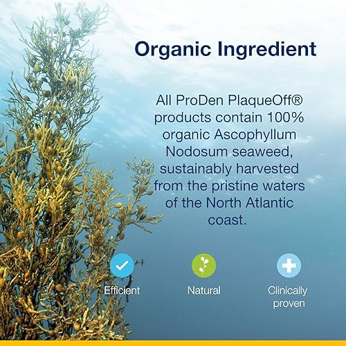 Miniatura 4 de Polvo para eliminar placa dental ProDen