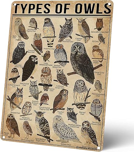 Types Of Owls - Letreros de metal vintage, póster educativo para el hogar, baño, aula, cafetería, decoración de pared, regalo para los amantes de
