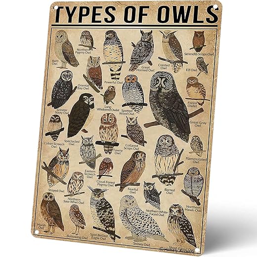 Types Of Owls Vintage Metal Signs, Educational Poster Tin Signs for Home Bathroom Classroom Cafe Decor Farmhouse Wall Art Gift for Owl Lovers Kids, 8x12 Inch
