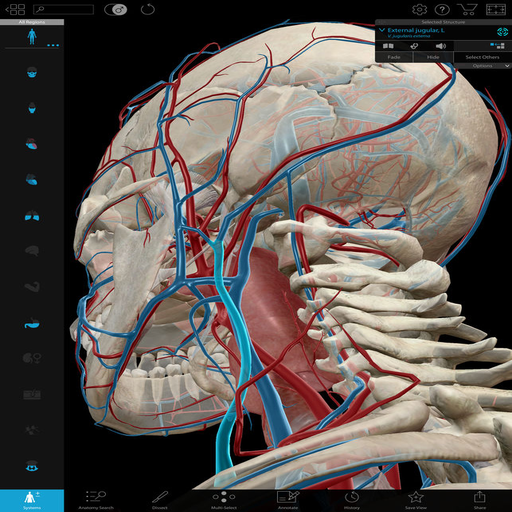 100 PERFECT HUMAN ANATOMY & PHYSIOLOGY App on Amazon Appstore