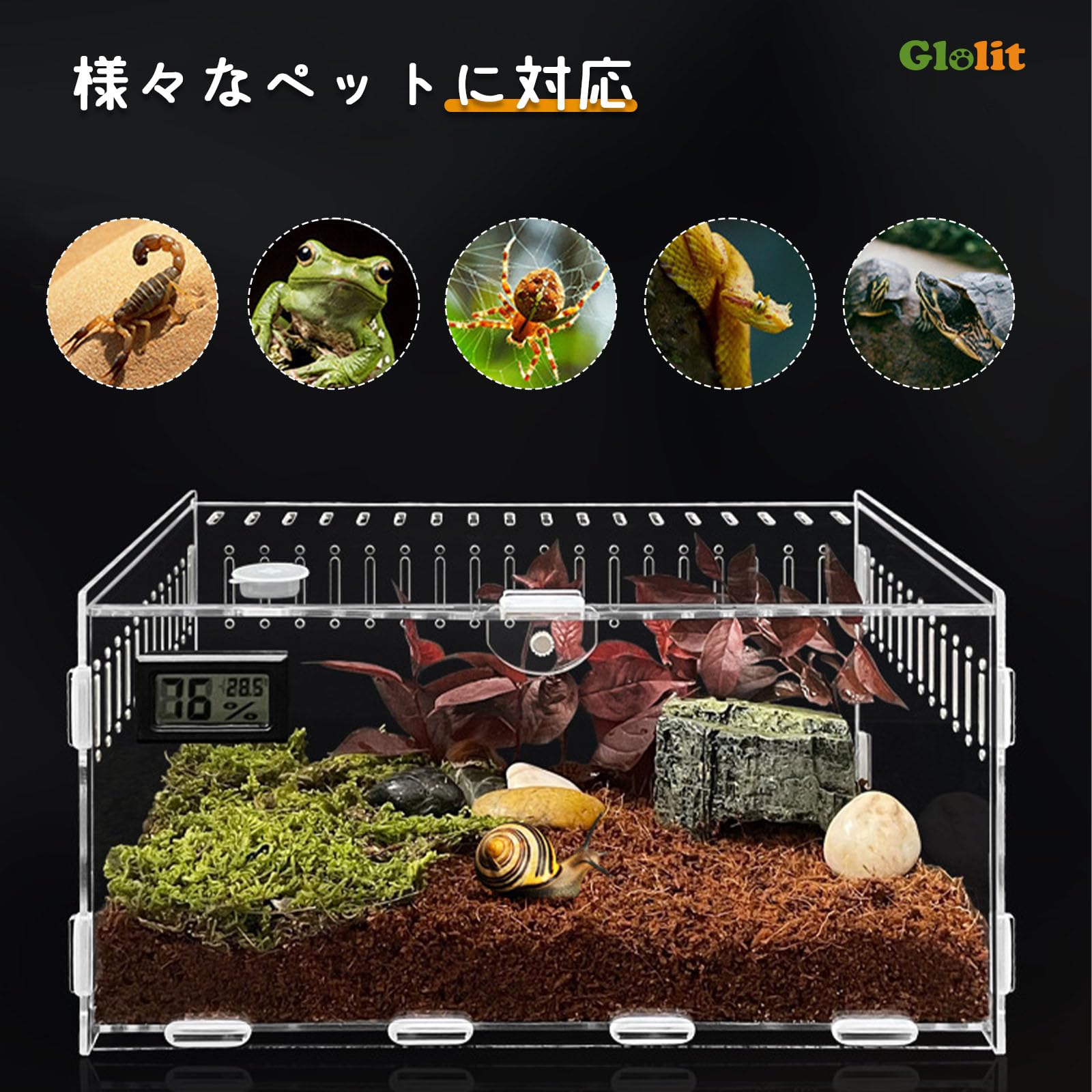 Amazon | 爬虫類 ケージ トカゲ ケージ カナヘビ飼育ケース レプタイル 