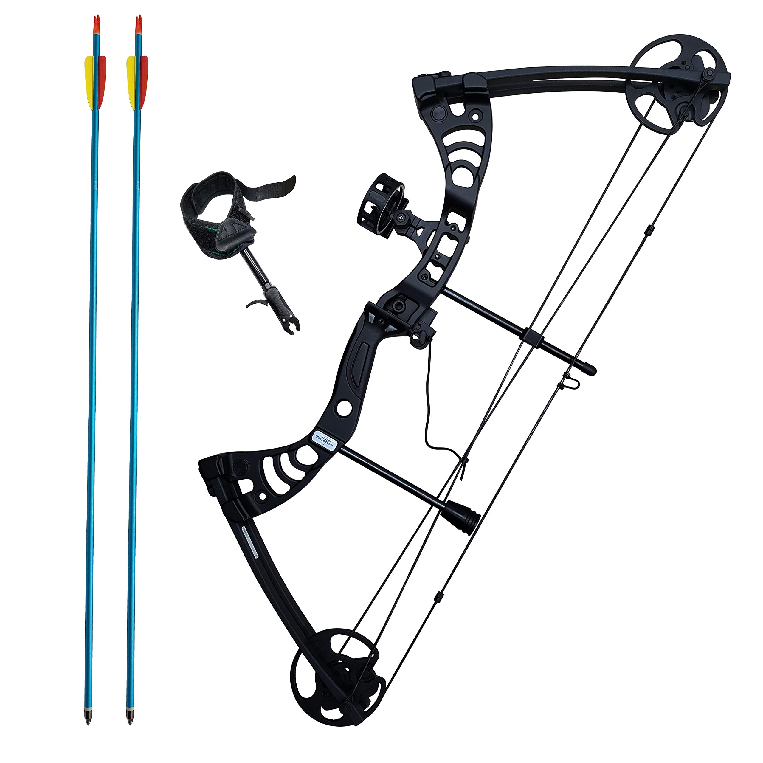 Southland Archery Supply SAS Scorpii 55 Lb 29" Compound Bow Archery Hunting Target Bowfishing Package