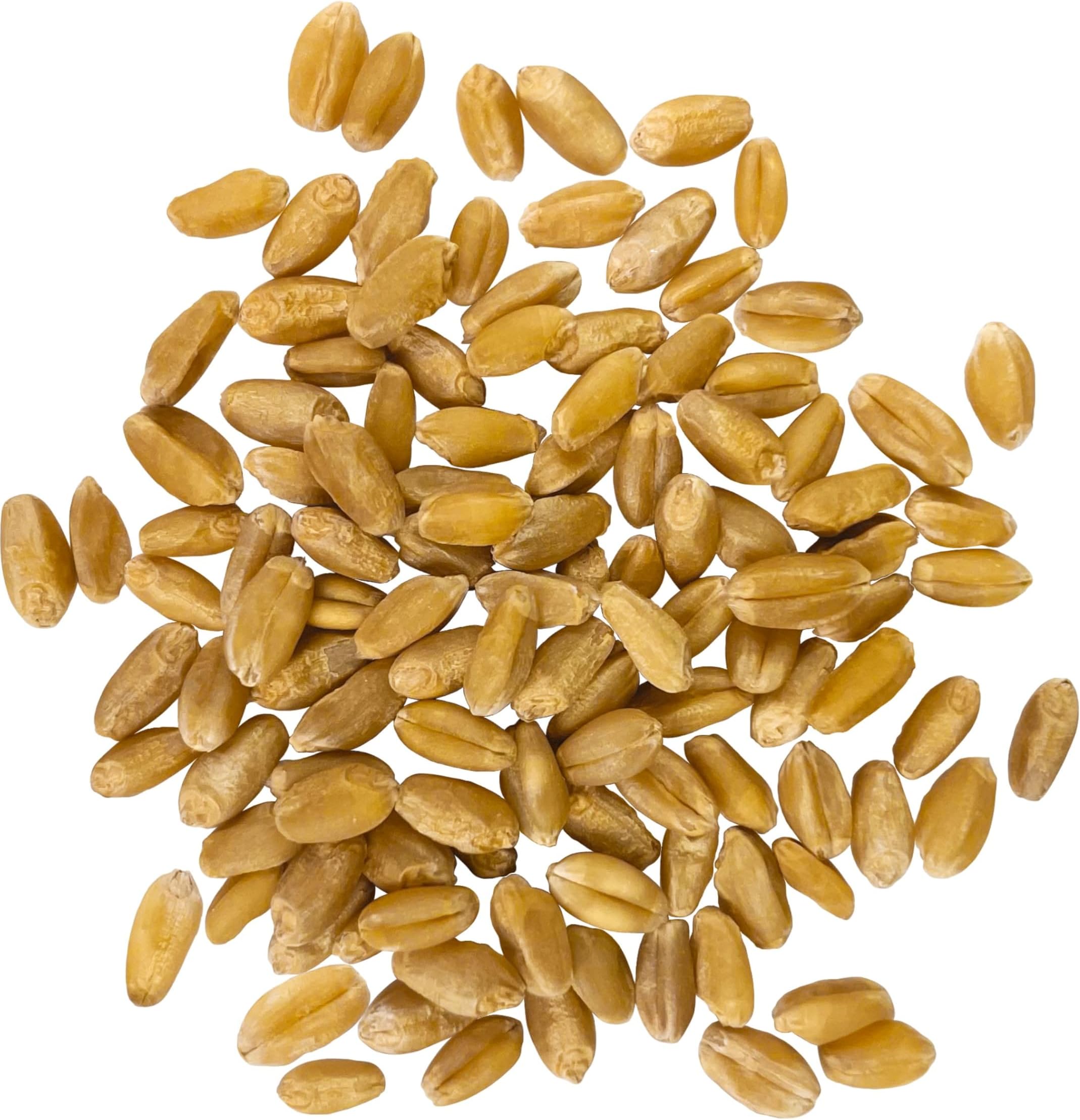 Certified Glyphosate Residue Free | Hard White Wheat Berries | 18 LBS | Family Farmed in Washington State | 100% Desiccant Free | Sproutable | Non-GMO Project Verified | Kosher