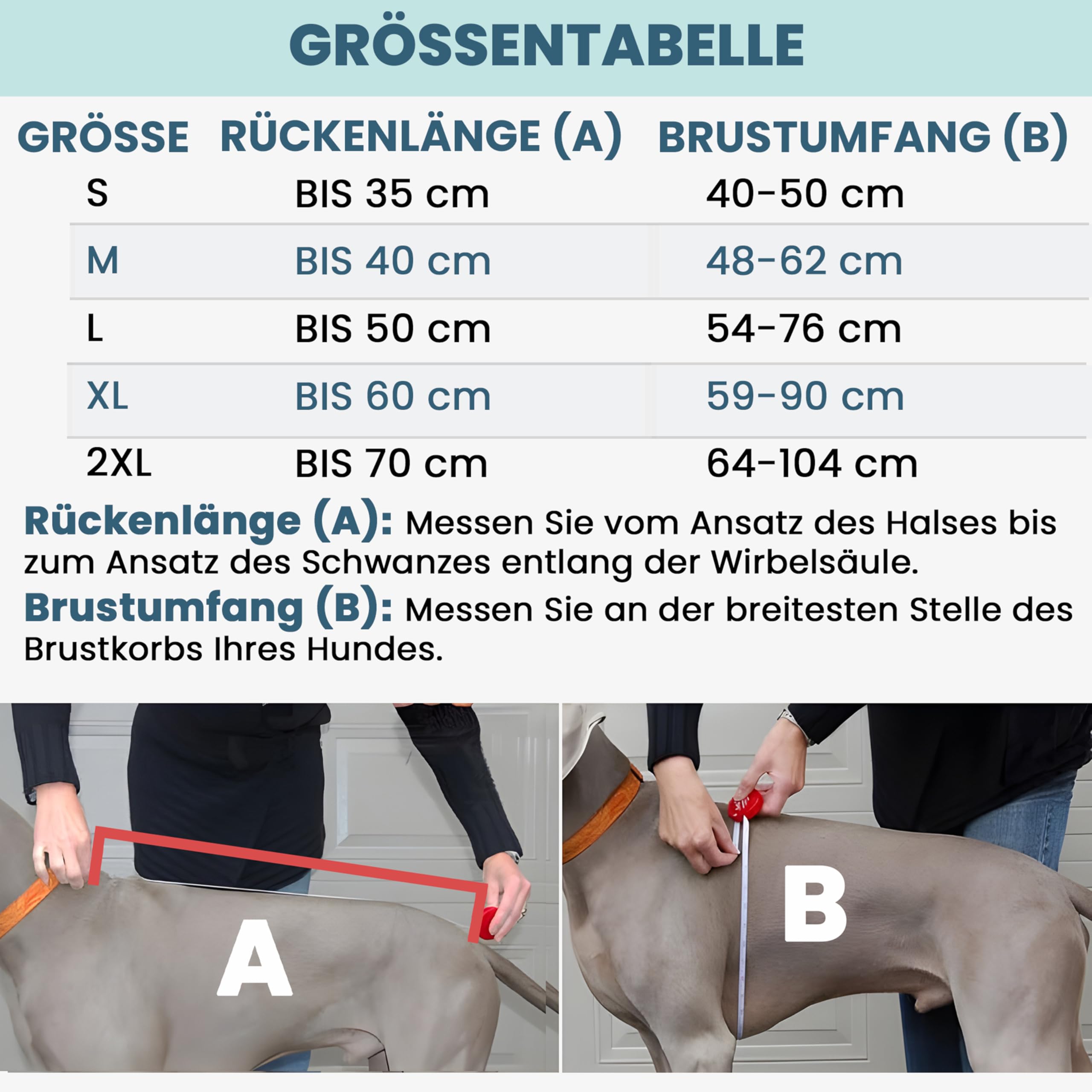 DOGOPAL Regenmantel Hund wasserdicht für kleine & große Hunde - Gelber Hunderegenmantel mit Reflektorstreifen - Wasserdichter Hundemantel, Regenschutz & Regenjacke (Gelb, S)