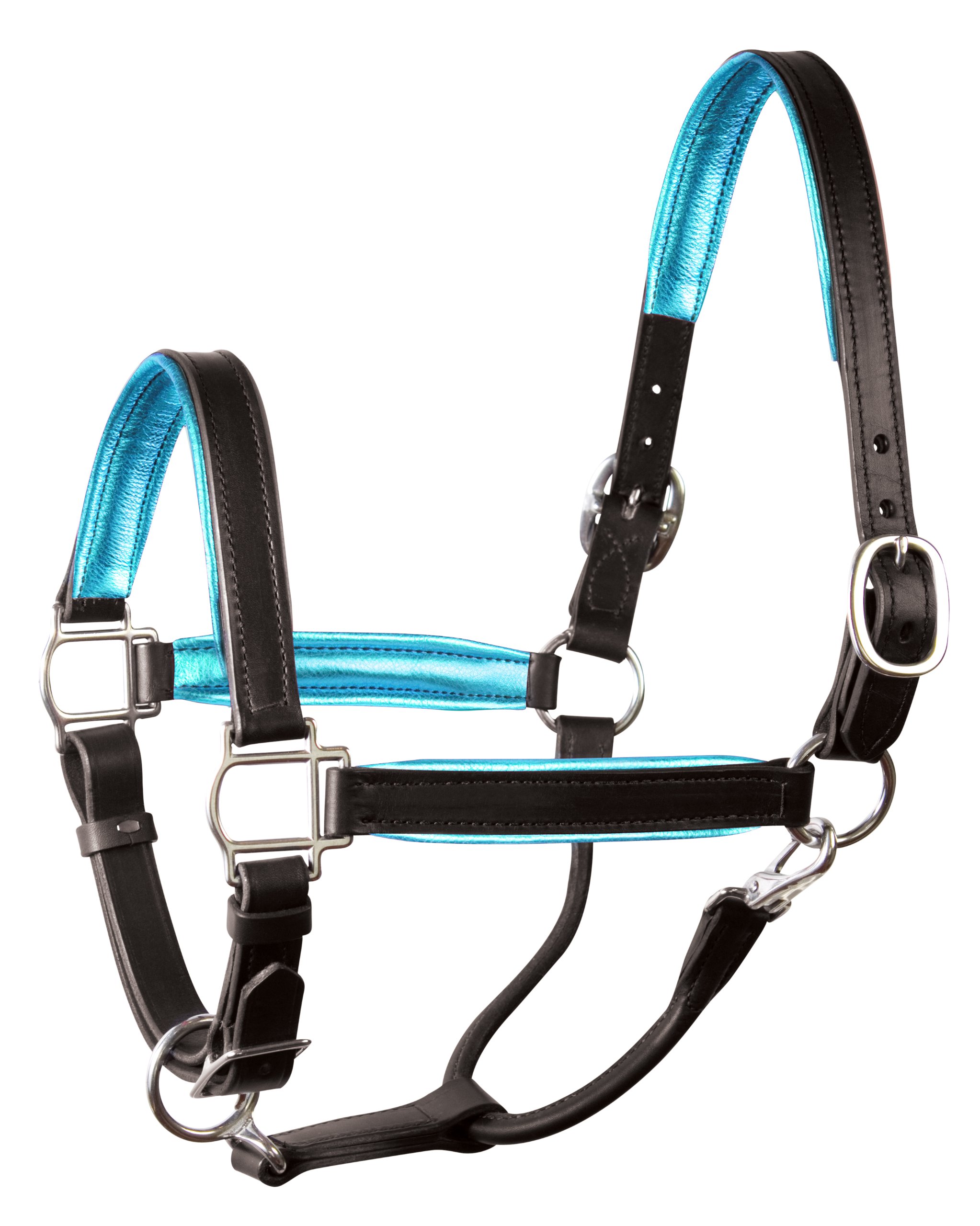 Perri's Leather Metallic Padded Leather Halter, Horse, Black/Turquoise