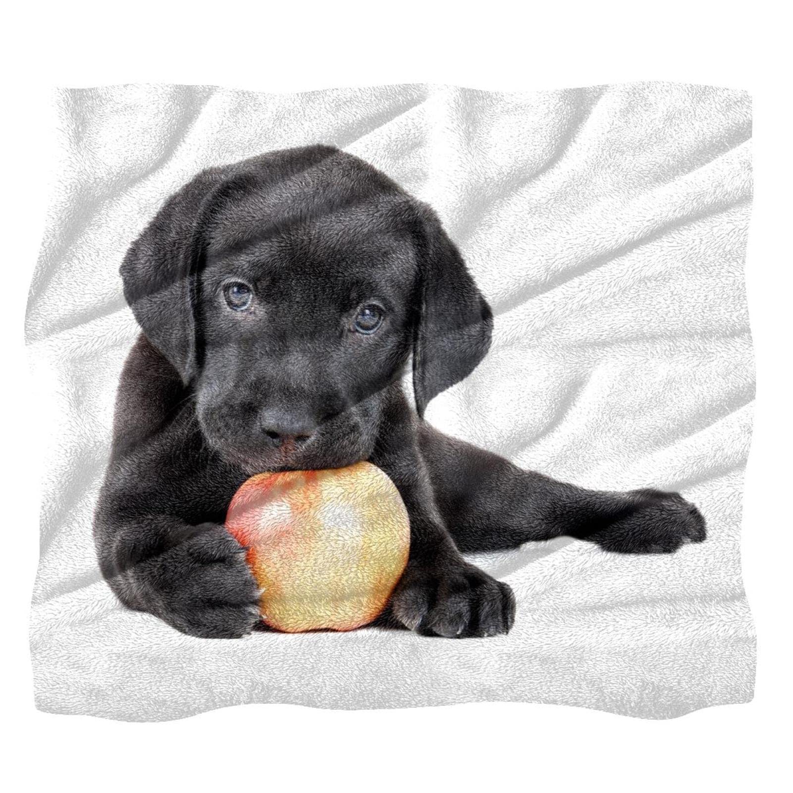 Couvertures chaudes et douces en peluche microfibre avec motif Labrador
