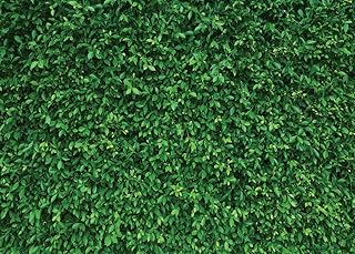 LYWYGG 8x6FT Green Leaves Photography Backdrops Nature Backdrop Newborn Baby Shower Background Birthday Party Backdrop Photo Booth Prop CP-87