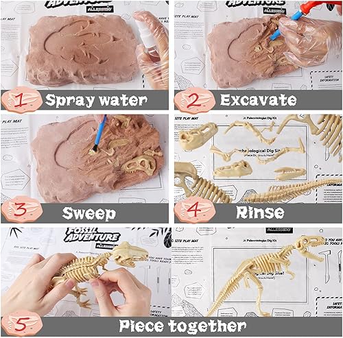 Miniatura 6 de Kit educativo de ciencia de dinosaurios para niños, juego de excavación de esqueletos fósiles 3D, Rhinoceratops STEM Activtives, regalos de