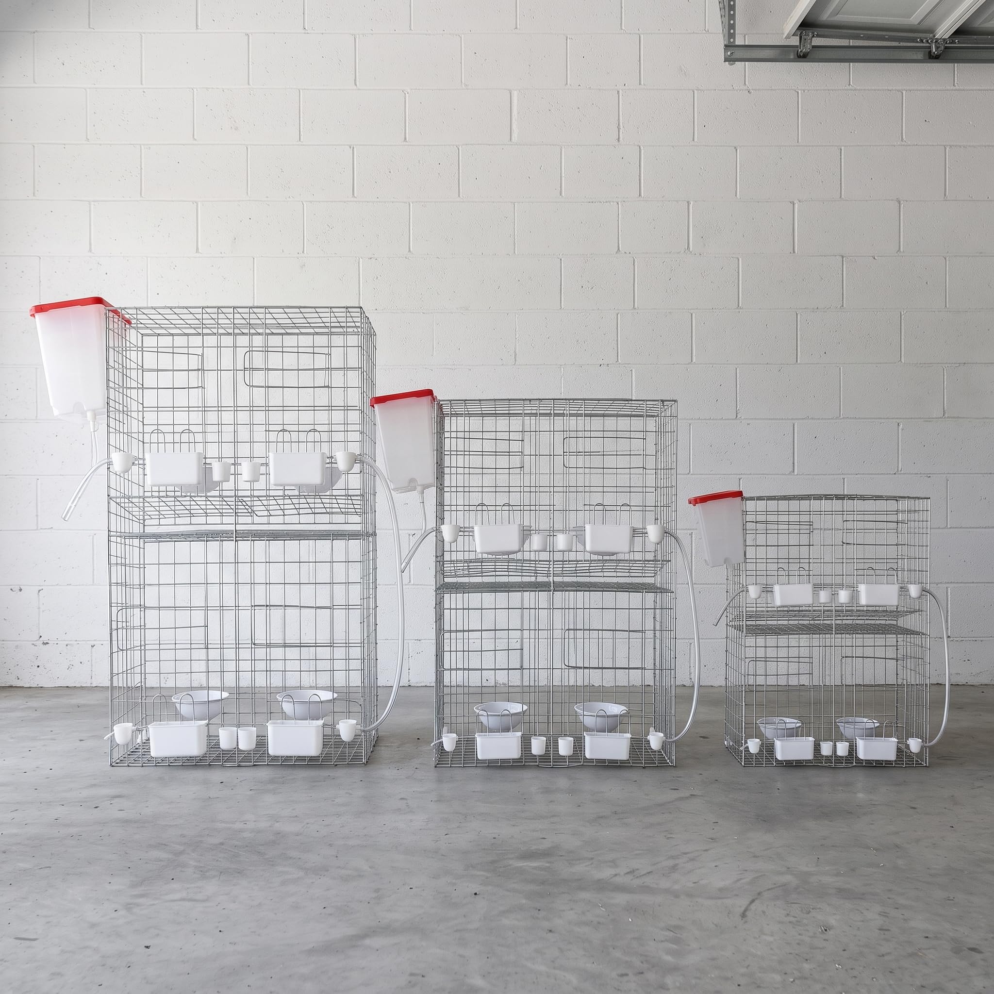 Jaula para Palomas Metal, Cría Automática con Accesorios Completos para Palomas