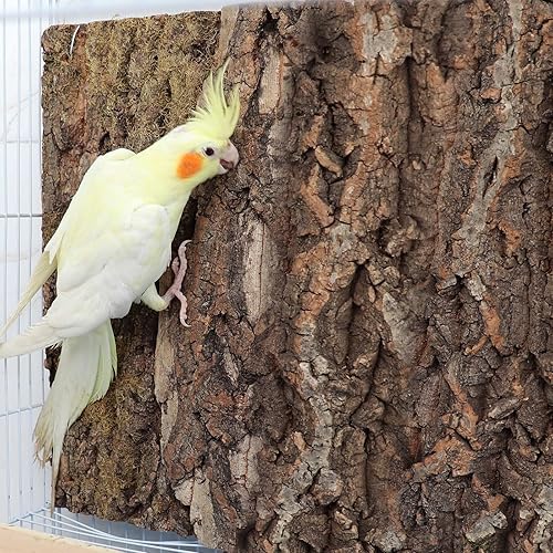 Miniatura 5 de Paquete de 2 perchas de corcho 100% natural de 16 x 12 pulgadas, tablas de asiento de corcho para pájaros, accesorios de decoración de corteza de