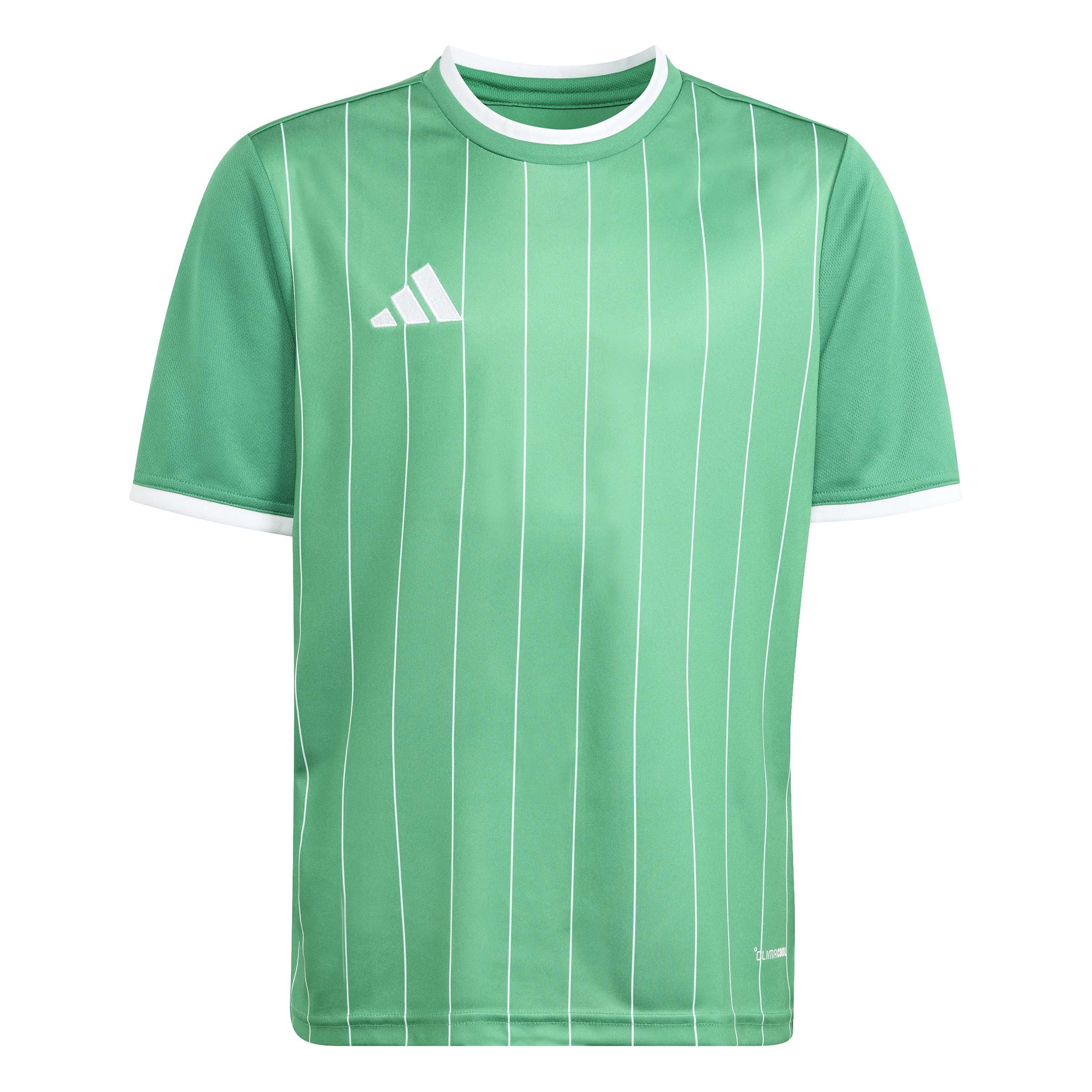 adidas Unisex Kids Entrada26 Graphic Jersey Kids Shirt, Team Green/White, 3-4 Years
