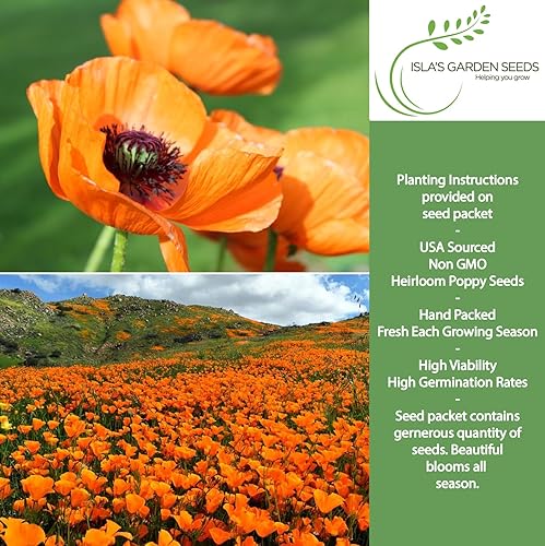 Miniatura 2 de Orange California Poppy, más de 1500 semillas de flores por paquete, semillas de jardín de Isla (semillas de jardín de Isla), semillas sin OMG y