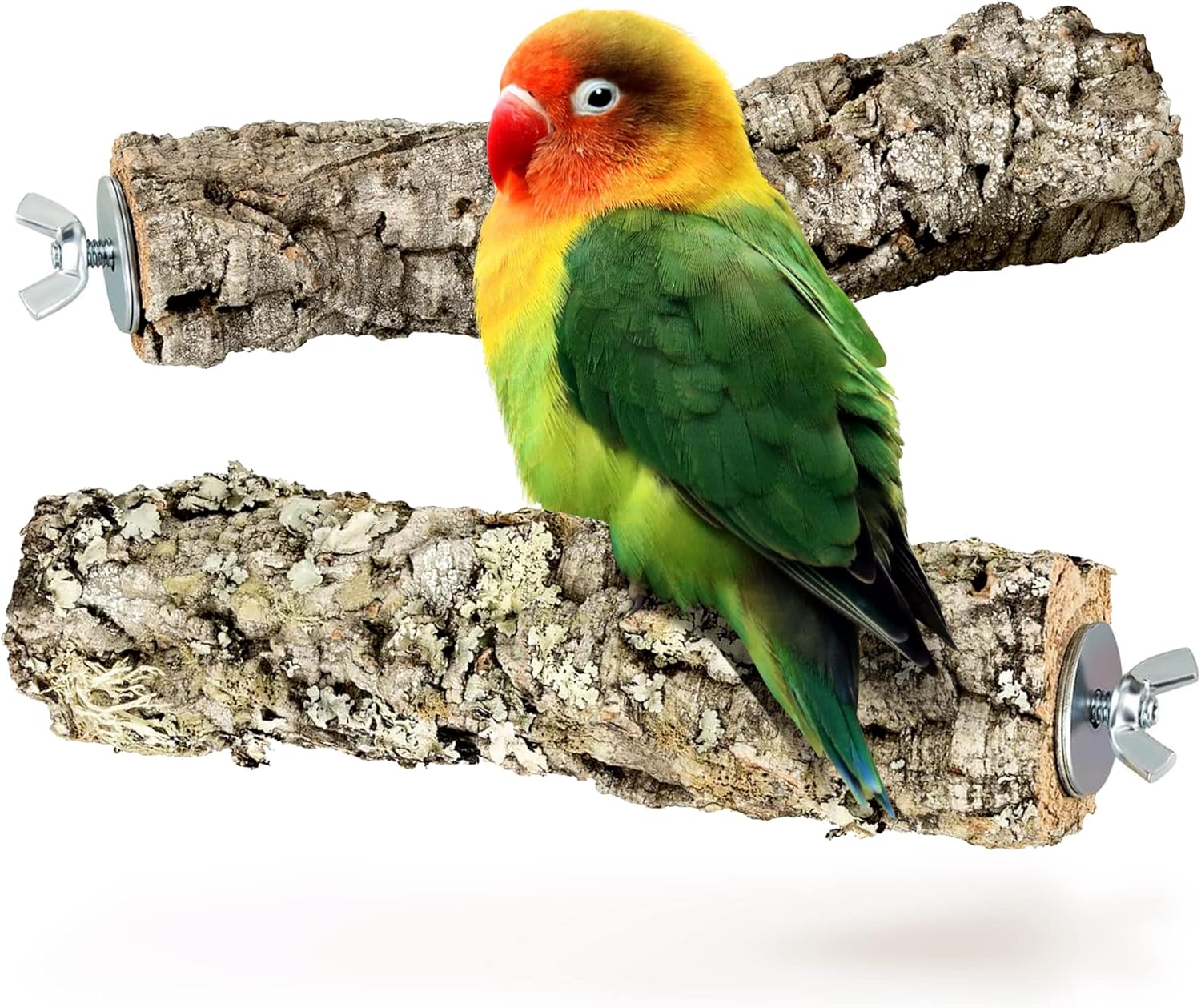 Vogelsitzstange aus Kork aus natürlicher Korkrinde, 2er-Set. Zum Sitzen, Knabbern und Nagen. Sitzstange von Kork-Deko aus Naturkork für Wellensittiche, Kanarienvögel, Papageien und andere Vögel Vogelsitzstange aus Kork aus natürlicher Korkrinde, 2er-Set. Zum Sitzen, Knabbern und Nagen. Sitzstange von Kork-Deko aus Naturkork für Wellensittiche, Kanarienvögel, Papageien und andere Vögel